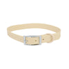 A beige adjustable PVC pet collar with a silver buckle and matching loop.