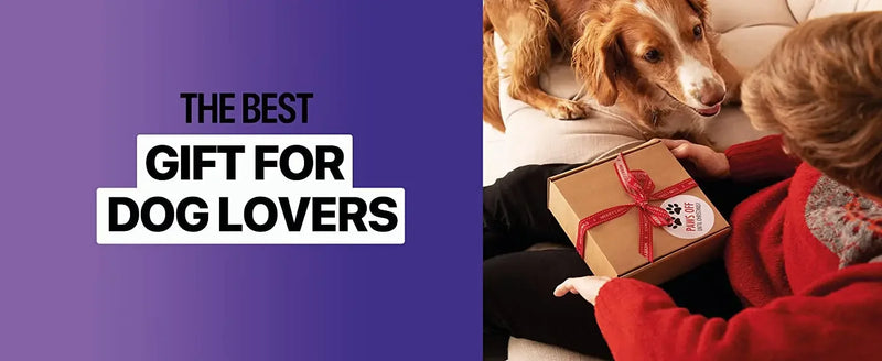 Ultrasonic Anti-Bark Dog Training Device with Rechargeable Battery and LED