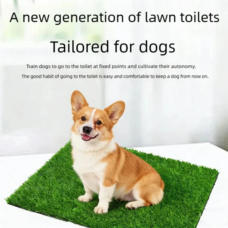 A small, light brown and white dog sits on a green artificial grass potty mat.