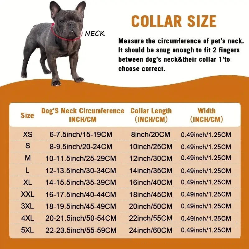 A dark gray French Bulldog wearing a red collar, shown next to a size chart for pet collars.