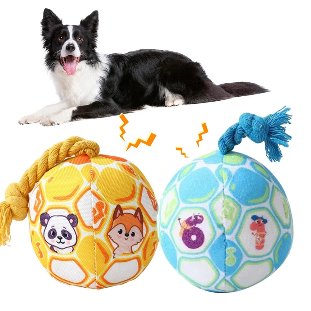 A black and white dog is lying down next to two plush toys: a yellow ball with animal faces and a blue ball with colorful sha