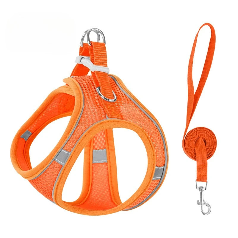 Orange reflective no-pull dog harness with a leash attached
