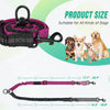 Dual Dog Leash with Shock-Absorbing Bungee (16 ft)