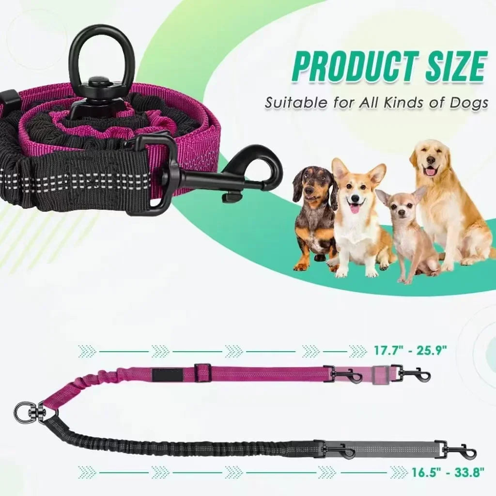 Dual Dog Leash with Shock-Absorbing Bungee (16 ft)