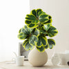 Artificial Heart-Leaf Ficus Plant with Green Leaves