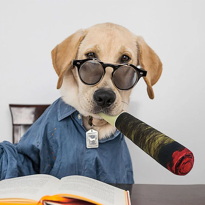 A light-colored dog wearing sunglasses is looking at a book, with an interactive squeaking joint sound plush toy nearby.