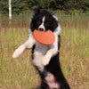 Interactive Silicone Flying Saucer Pet Toy