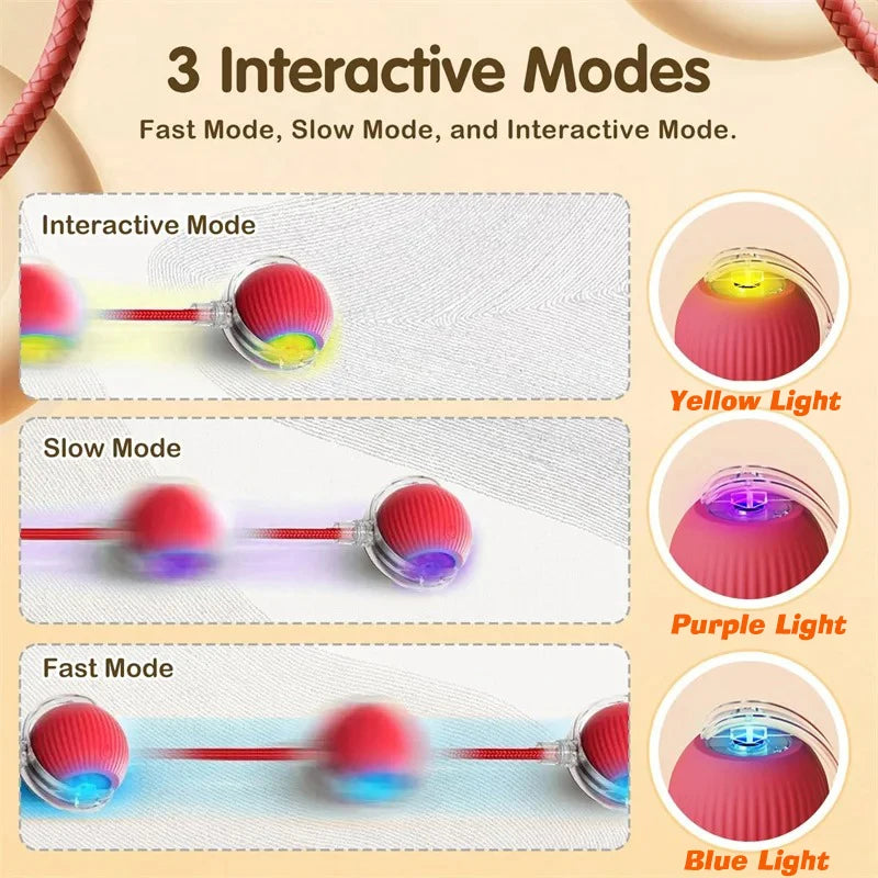 Interactive Rolling Cat Toy Ball with Smart Obstacle Avoidance