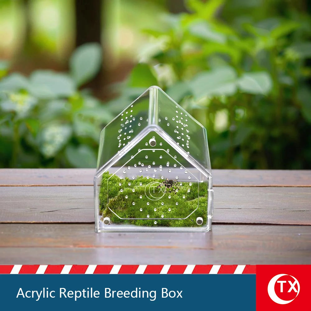 Clear acrylic reptile breeding box containing live moss for pet habitats