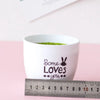 A white ceramic bowl filled with green moss, featuring the text Some Loves you with a bunny design.