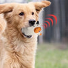 Jouet en latex à sifflet pour chien - Jeu interactif