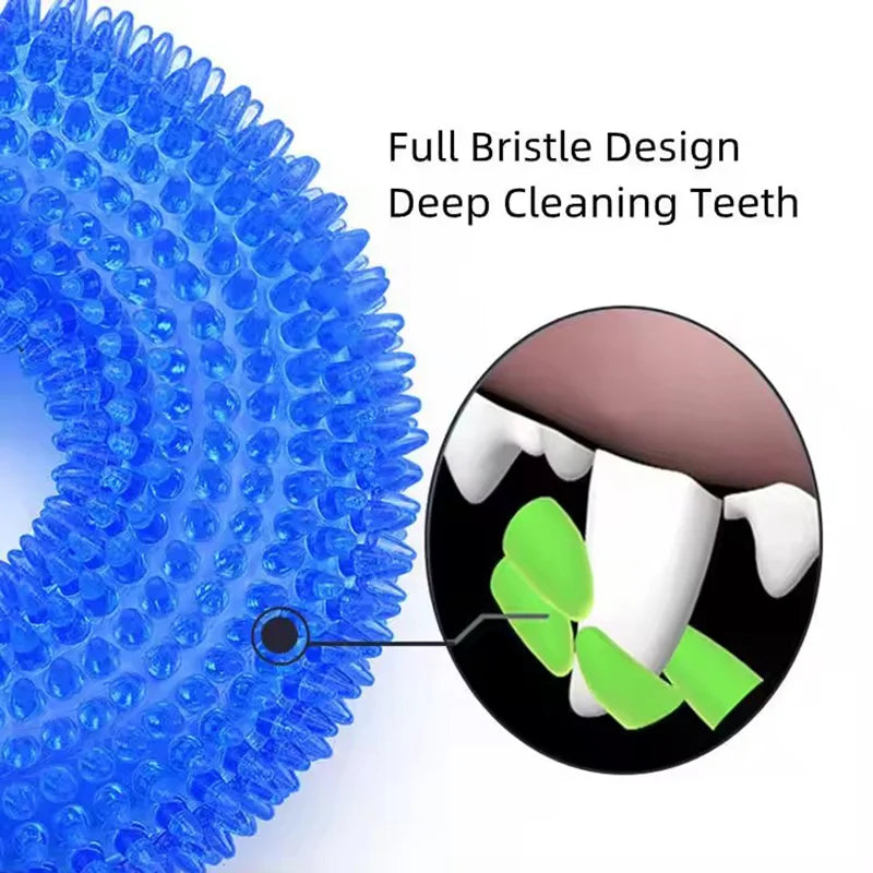 Bite-Resistant Squeaky Dog Chew Toy with Spiky Teething Ring