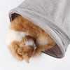 A fluffy orange and white kitten is peeking out of a gray foldable S-shape cat tunnel.