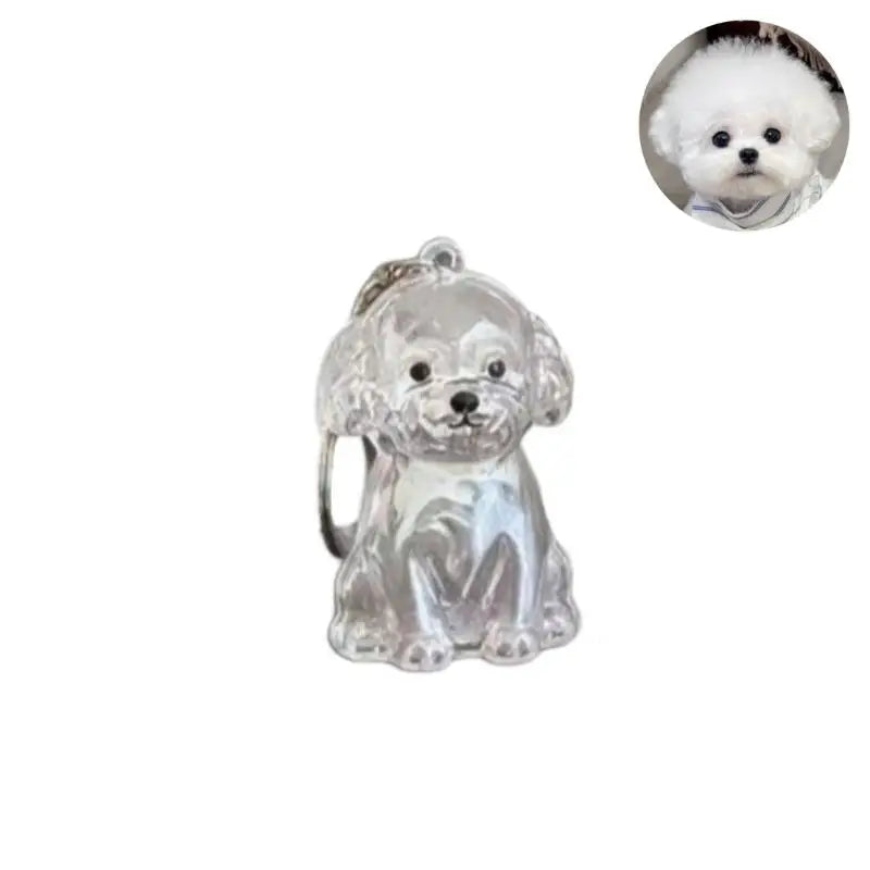 Pet Hair Keepsake Keychain with Transparent Capsule