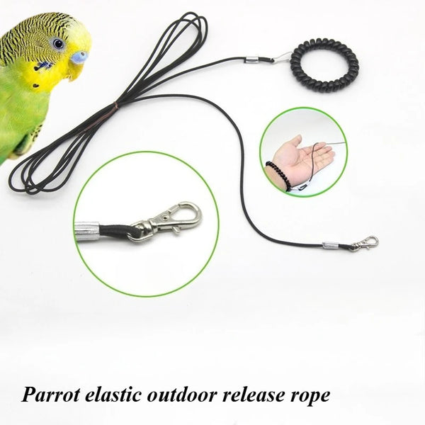 حزام تدريب الطيور بالحبل للببغاء في الخارج
