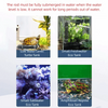 Adjustable Aquarium Heater with Digital LCD Display