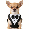 Dog Tuxedo with Bowtie for Weddings and Special Occasions