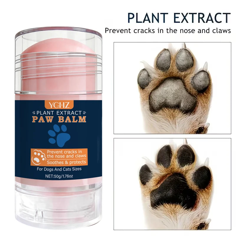 A glass jar of plant extract paw balm with a close-up of a dog's paw.