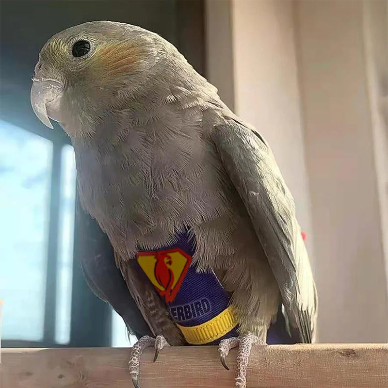 Traje de Vuelo Reutilizable para Loro de Algodón