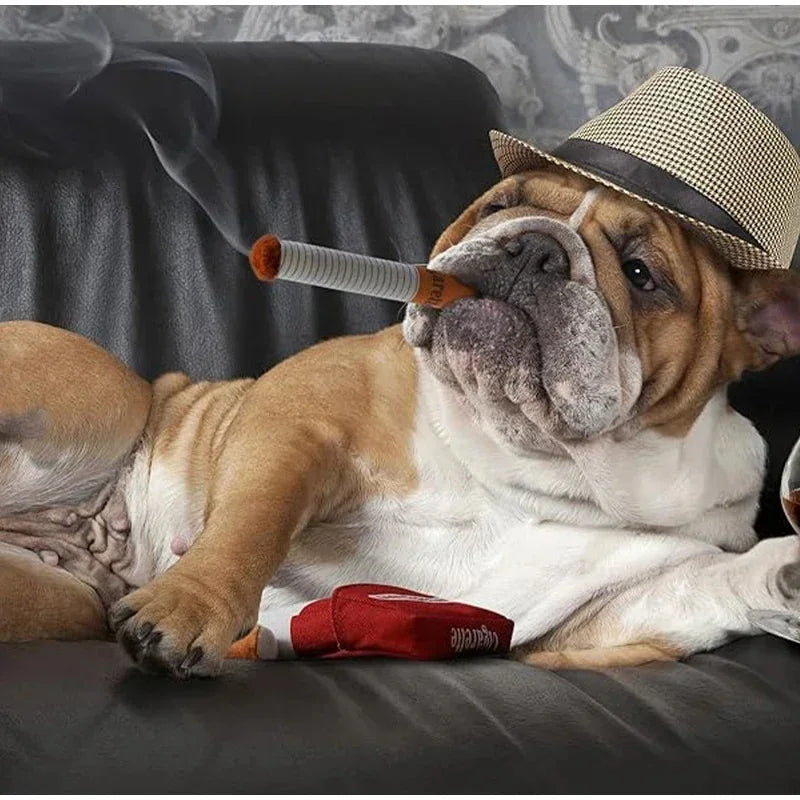 A fawn and white bulldog wearing a straw hat is holding a cigarette-shaped squeaky dog chew toy.