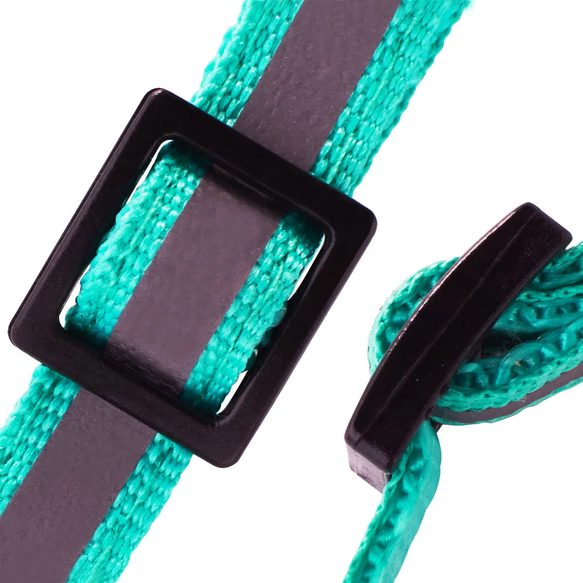 A close-up of a safety breakaway cat collar featuring a black buckle and teal green cord.