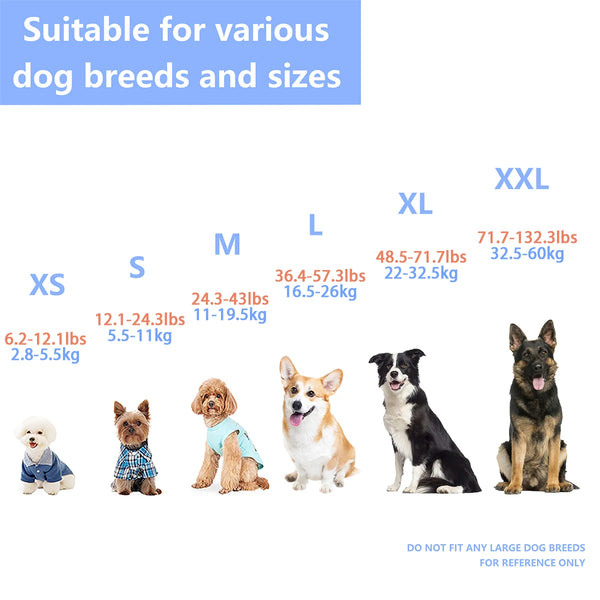 A guide showing various dog breeds and sizes from XS to XXL, with examples of dogs at each size level.