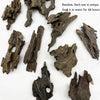 A collection of five pieces of natural driftwood or wood with holes, ranging from 5 to 10 centimeters long.