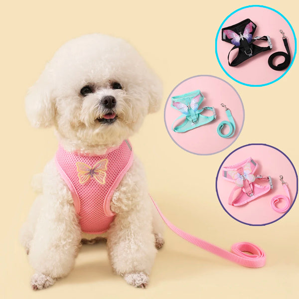 A fluffy white dog wearing a pink butterfly harness set with matching accessories.