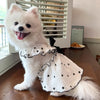A fluffy white dog wearing a white dress with black heart print and trim, sitting on a wooden surface.