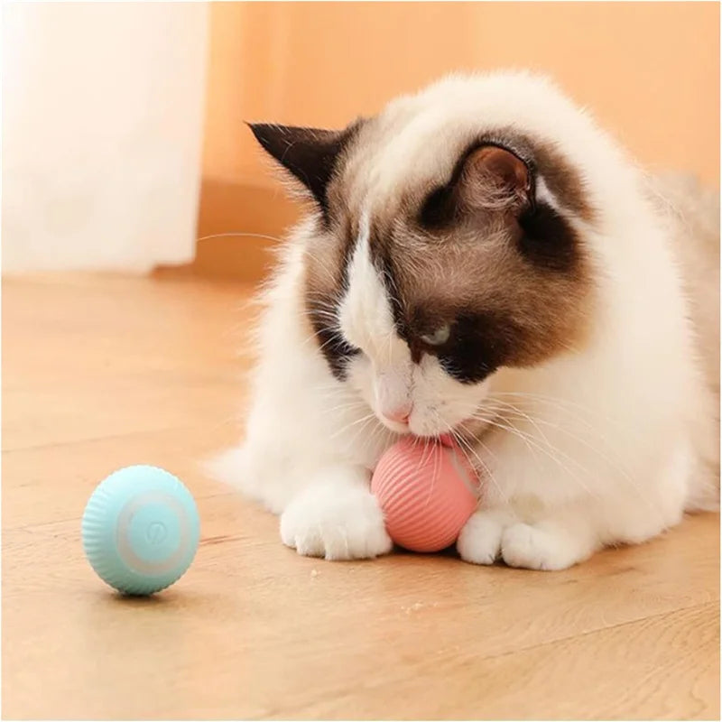 Intelligenter Smart-Ball für Hunde mit zufälliger Bewegung