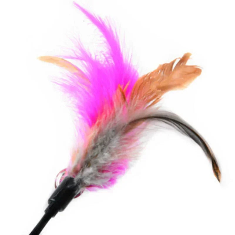A feather wand cat toy featuring pink, orange, and gray feathers.