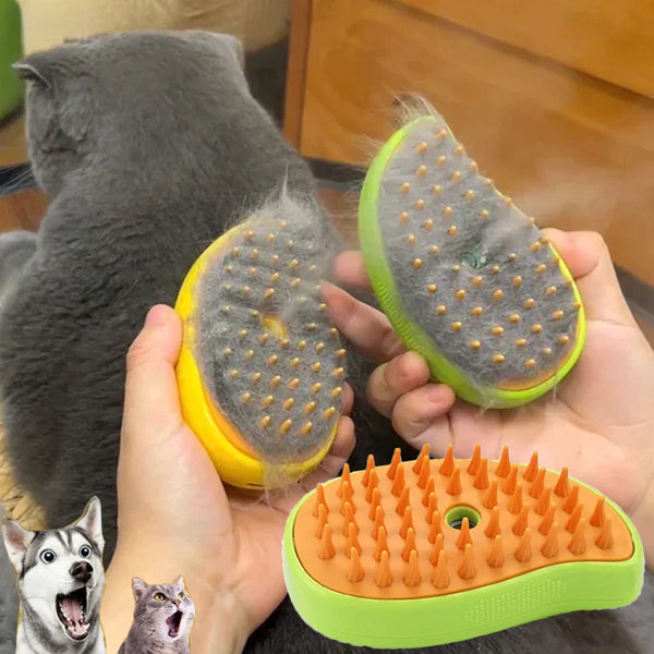 Brosse de toilettage à vapeur pour chats et chiens