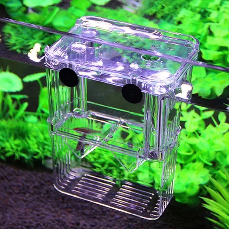 Acrylic Fish Breeding Isolation Box with Double Compartments