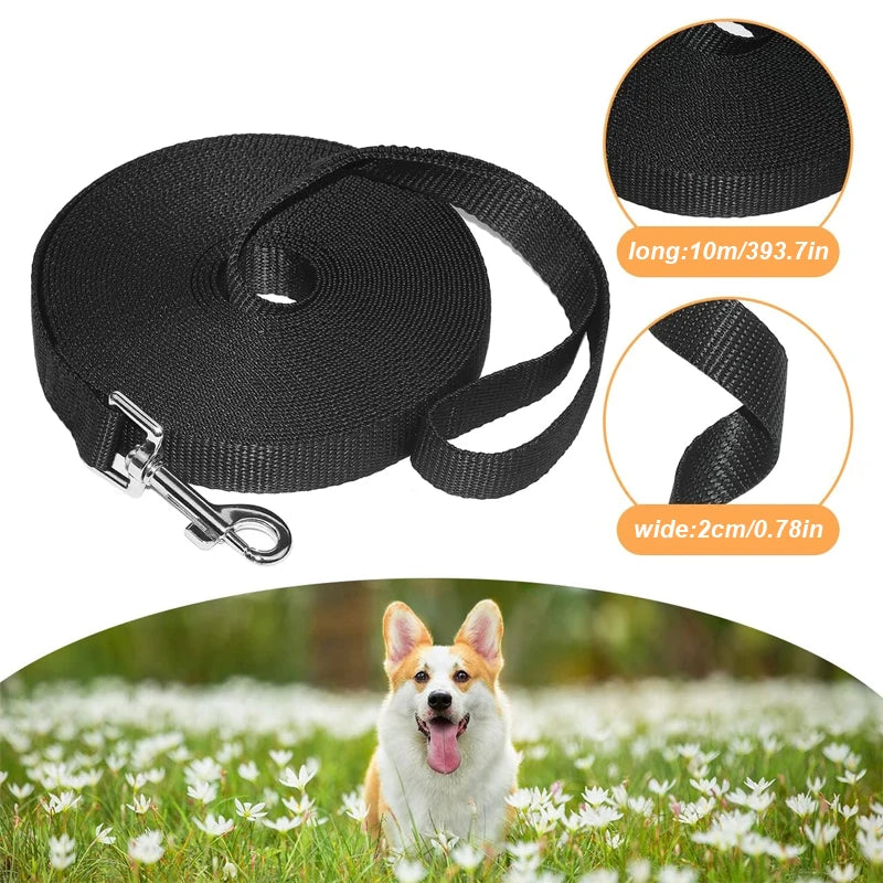 Black nylon dog training leash with a clip and a coiled lead shown in an outdoor field.