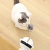 Lifting Ball Electric Cat Toy with Rotating Ball