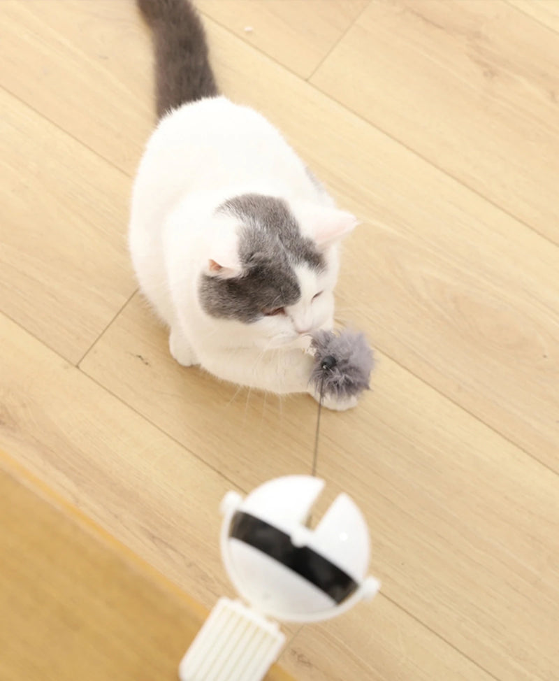 Lifting Ball Electric Cat Toy with Rotating Ball