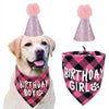 A golden retriever wearing a pink fuzzy hat and a black plaid bandana for a birthday party.