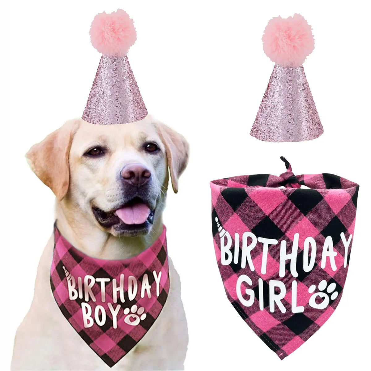 A golden retriever wearing a pink fuzzy hat and a black plaid bandana for a birthday party.