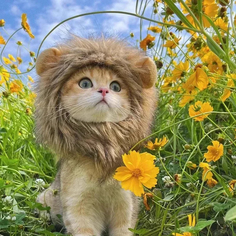 Sombrero de Melena de León para Mascotas