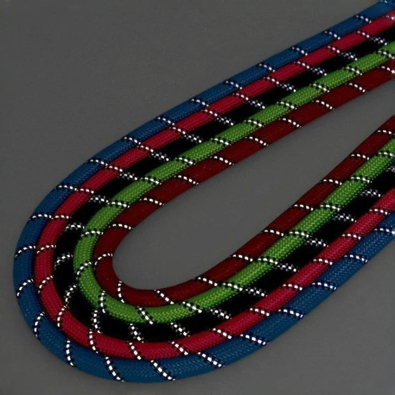 A close-up of a reflective nylon dog leash featuring multiple colored stripes including red, green, black, and blue.
