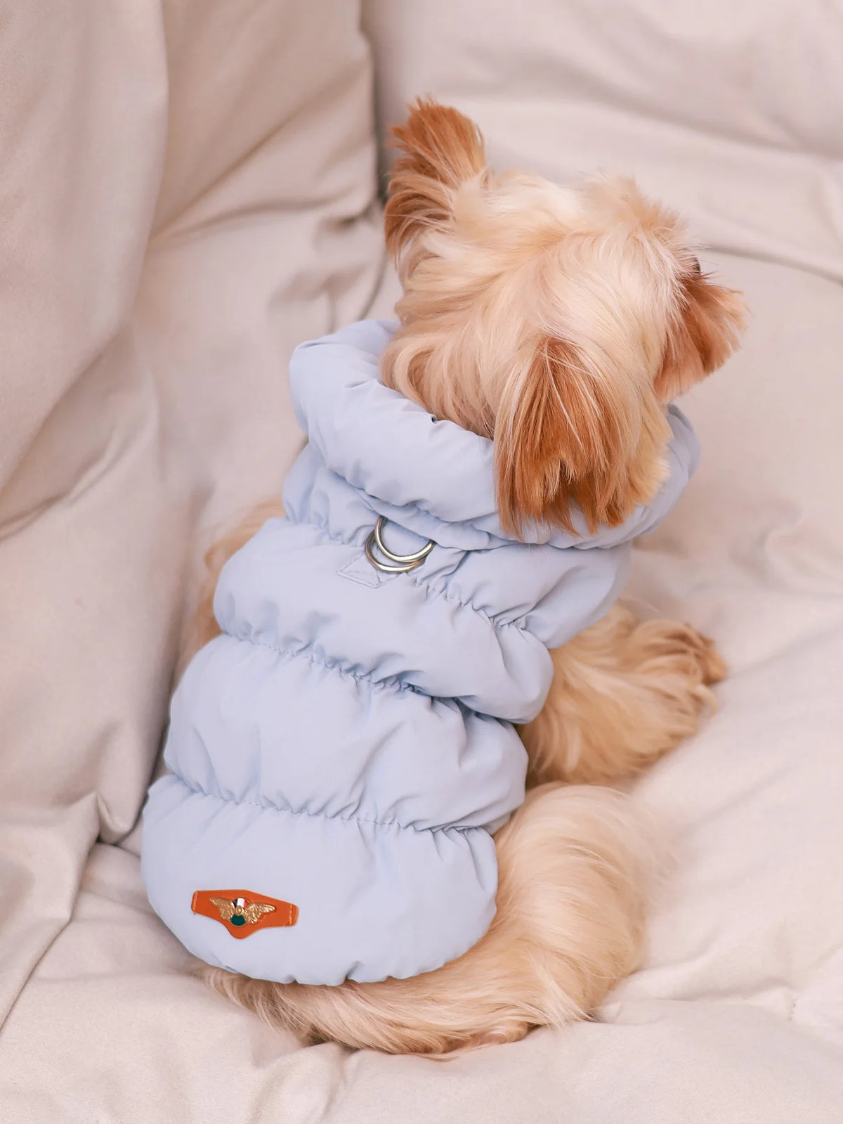 A light blue quilted dog jacket for a small to medium breed dog lying on a beige blanket.