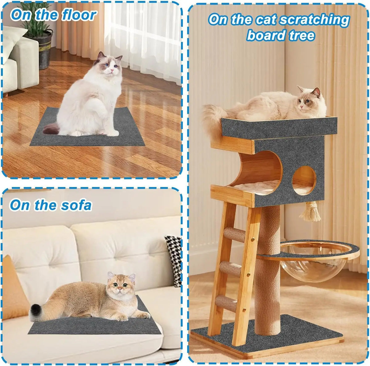 Trois chats utilisent un scratch pad autocollant, un arbre à griffer et un canapé.