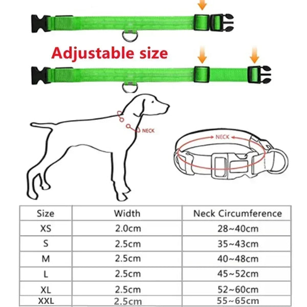 Collier LED rechargeable par USB pour la sécurité nocturne de votre chien