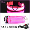 USB-aufladbarer LED-Hundehalsband für Nachtsicherheit