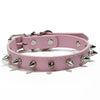 Studded PU Leather Dog Collar with Metal Accents