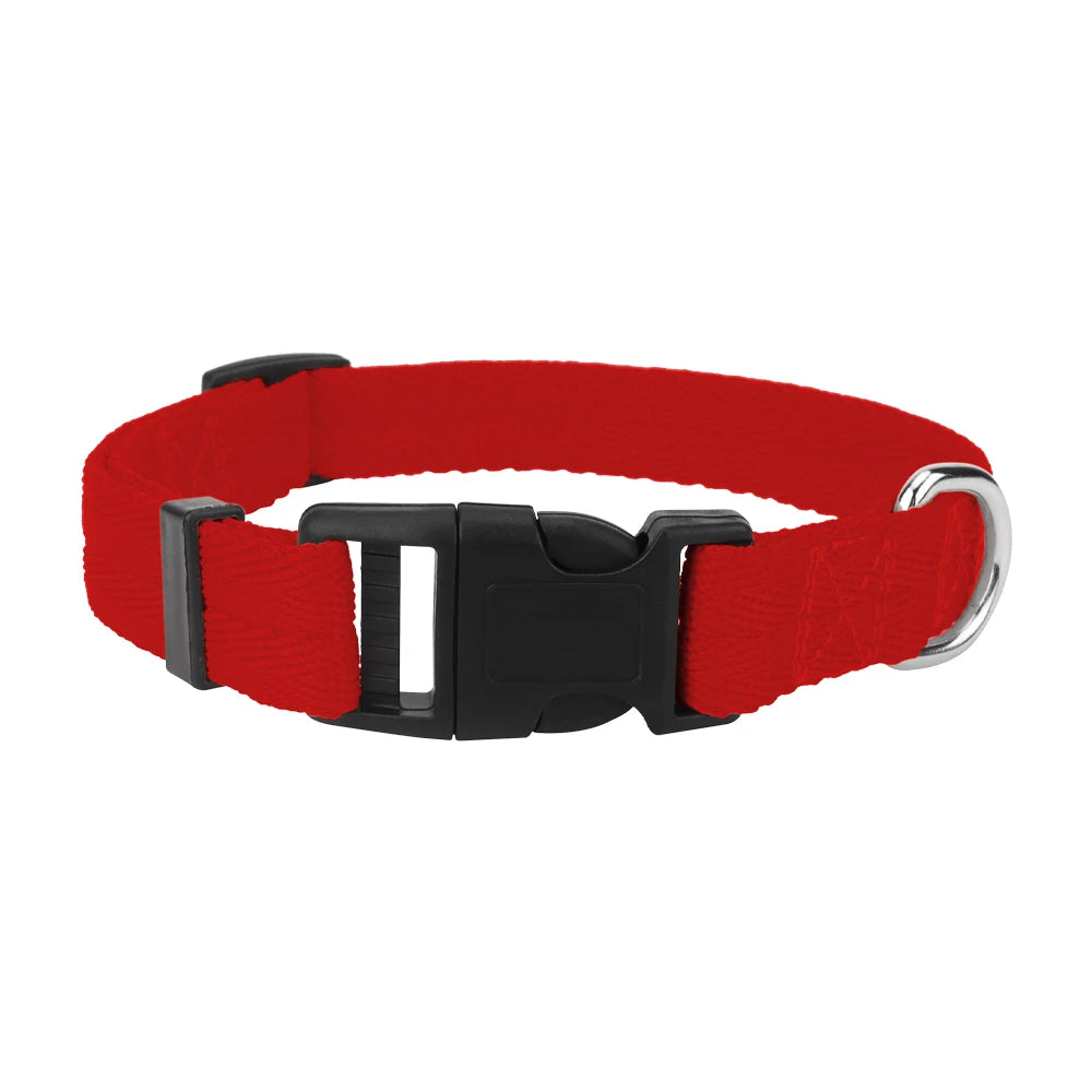 A red nylon dog collar with a black quick-release buckle.