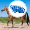 Brosse de toilettage pour cheval à poils souples