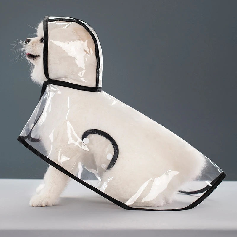 A white dog wearing a transparent raincoat with a hood and black trim, standing on a light surface.
