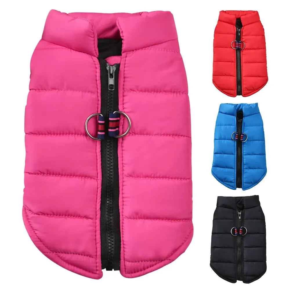 Windproof Padded Dog Coat for Small Breeds