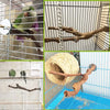 Natürlicher Traubenast als Sitzwarte für Cockatiels in verschiedenen Kontexten in einem Käfig